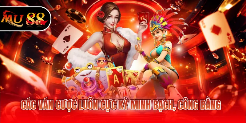 Các ván cược luôn cực kỳ minh bạch, công bằng